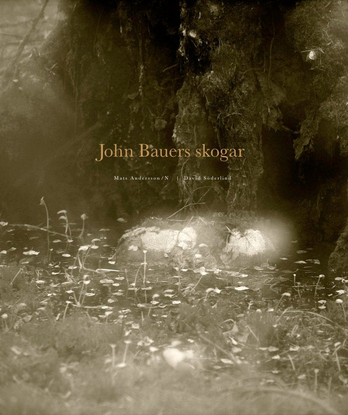 John Bauers skogar