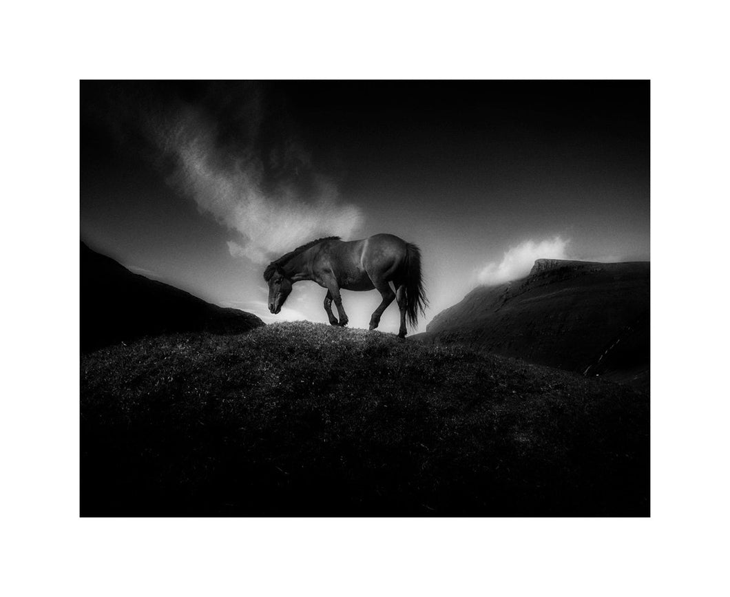 Fine Art Print 