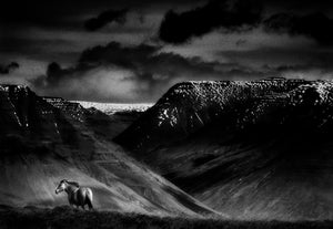 Fine Art Print "The Iceland horse and mountain". 80x60 cm. Edition of 6.
